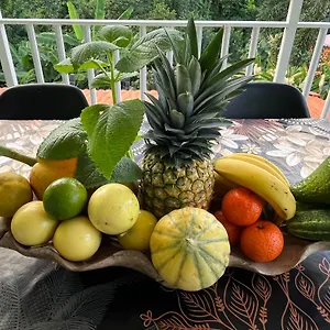 Flores De Maria , Le Marin Martinique